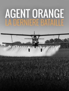Agent orange, la dernière bataille