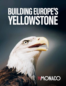 TV Monaco - Buildiing Europe's Yellowtsone