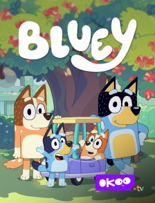 Okoo - Bluey