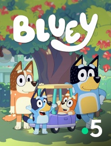 France 5 - Bluey