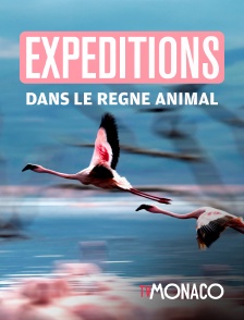 TV Monaco - Expéditions dans le règne animal