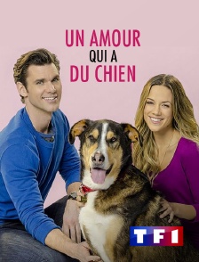 Un amour qui a du chien