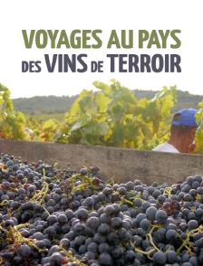Voyages au pays des vins de terroir