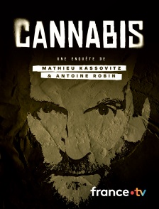 france.tv - Cannabis : une enquête de Mathieu Kassovitz et Antoine Robin