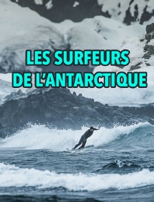 Les surfeurs de l'Antarctique