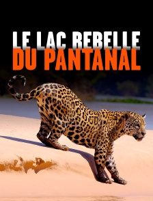 Le lac rebelle du Pantanal