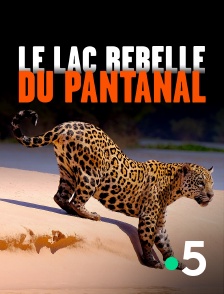 France 5 - Le lac rebelle du Pantanal