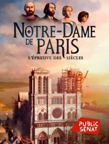 Public Sénat - Notre-Dame de Paris, l'épreuve des siècles