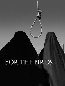 For the Birds