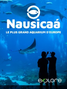 EXPLORE - Nausicaa, le plus grand aquarium d'Europe