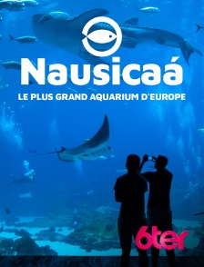 6ter - Nausicaa, le plus grand aquarium d'Europe