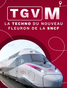 TGV-M : la techno du nouveau fleuron de la SNCF