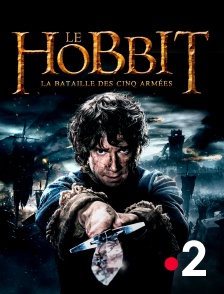 France 2 - Le Hobbit : la bataille des cinq armées