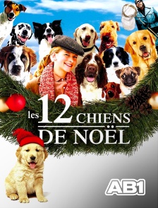 AB 1 - 12 chiens pour Noël