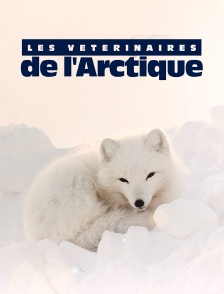 Vétérinaires de l'Arctique