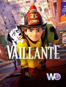 W9 - Vaillante