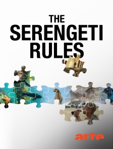 The Serengeti Rules