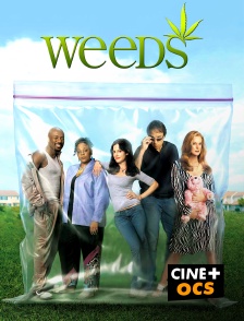 CINÉ Cinéma - Weeds