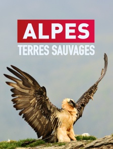Alpes : terres sauvages