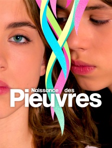 Naissance des pieuvres