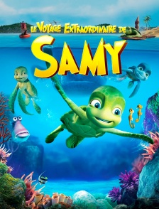 Le voyage extraordinaire de Samy