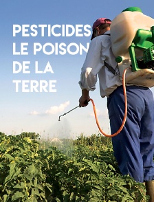 Pesticides, le poison de la terre
