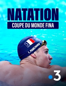 Natation - Coupe du monde FINA