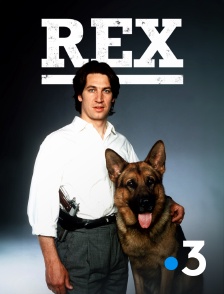France 3 - Rex, chien flic