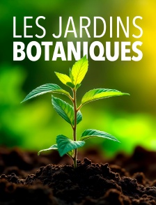 Les jardins botaniques : Un sanctuaire pour la flore