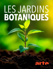 Arte - Les jardins botaniques : Un sanctuaire pour la flore