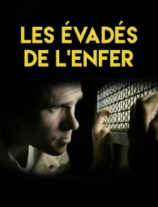 Derrière les barreaux