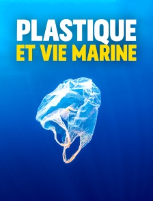 Plastique et vie marine : Une cohabitation à la dérive