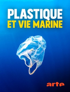 Arte - Plastique et vie marine : Une cohabitation à la dérive