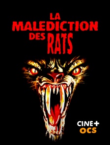 CINÉ Cinéma - La malédiction des rats
