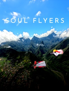 Soul Flyers