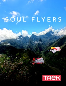 Trek - Soul Flyers
