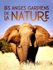 Les anges gardiens de la nature