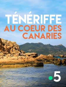 Ténériffe, au coeur des Canaries