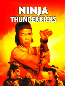 Ninja Thunderkicks