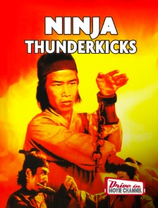 Ninja Thunderkicks