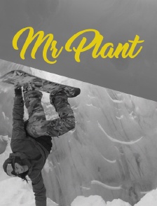 Mr Plant