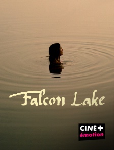 Falcon Lake