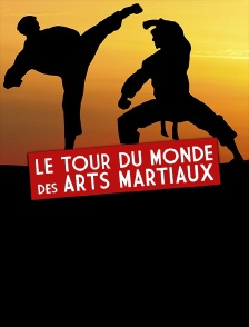 Le tour du monde des arts martiaux