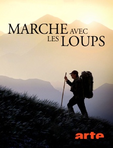 Marche avec les loups