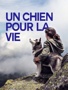 Un chien pour la vie