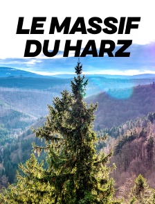 Le massif du Harz, joyau sauvage au coeur de l'Allemagne
