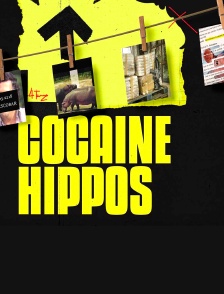 Cocaine Hippos