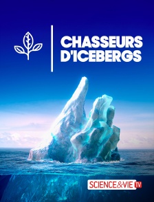 Science et Vie TV - Chasseurs d'icebergs en replay