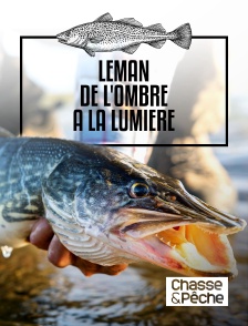 Chasse et pêche - Leman de l'ombre à la lumière