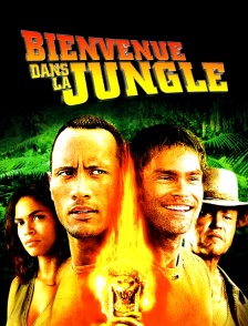 Bienvenue dans la jungle